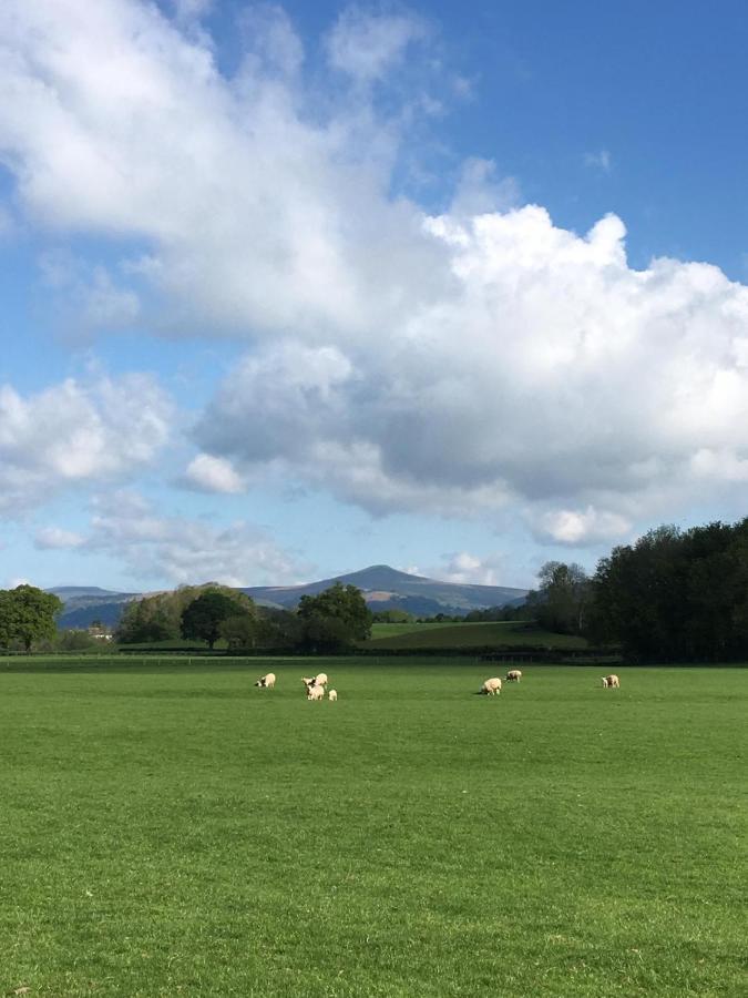 The Old Rectory Bed & Breakfast Abergavenny Exteriör bild
