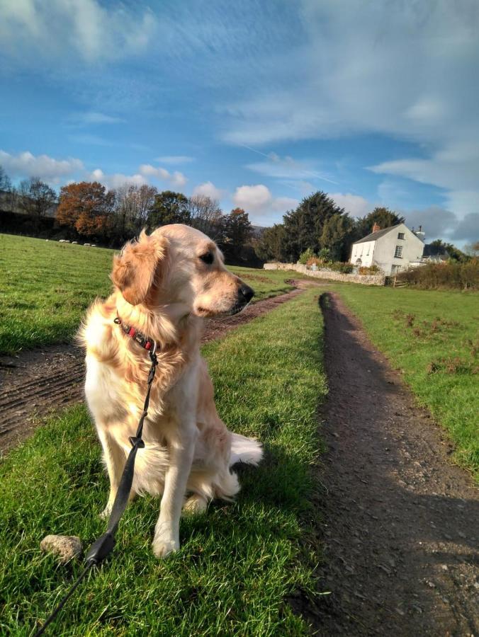 The Old Rectory Bed & Breakfast Abergavenny Exteriör bild